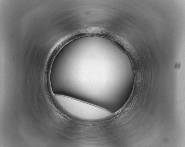 X0000091210392200708091120