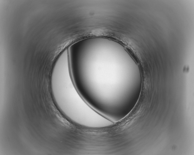 X0000091210393200708091120