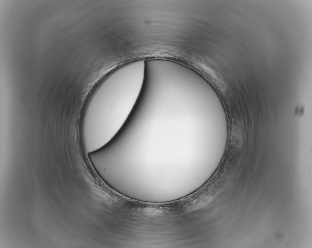 X0000091210394200708091120