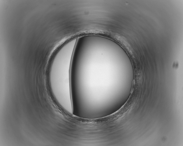 X0000091210395200708091120
