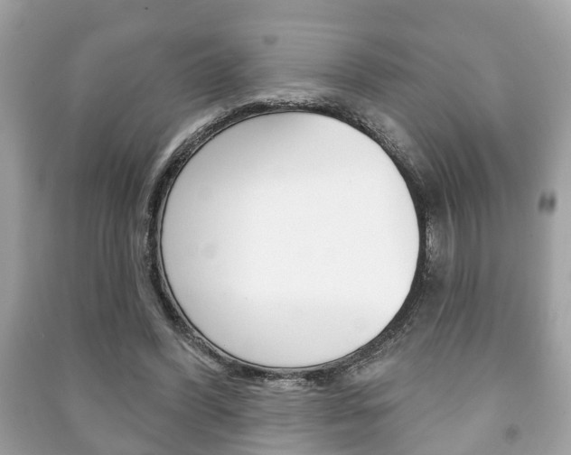 X0000091210396200708091120
