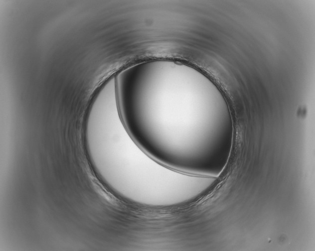 X0000091210397200708091120