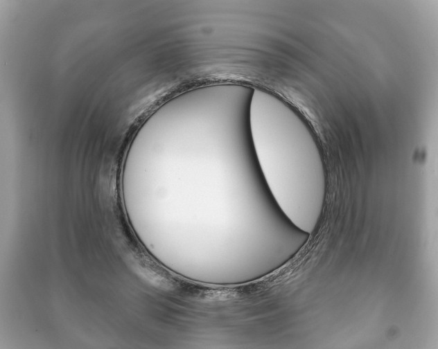 X0000091210398200708091120