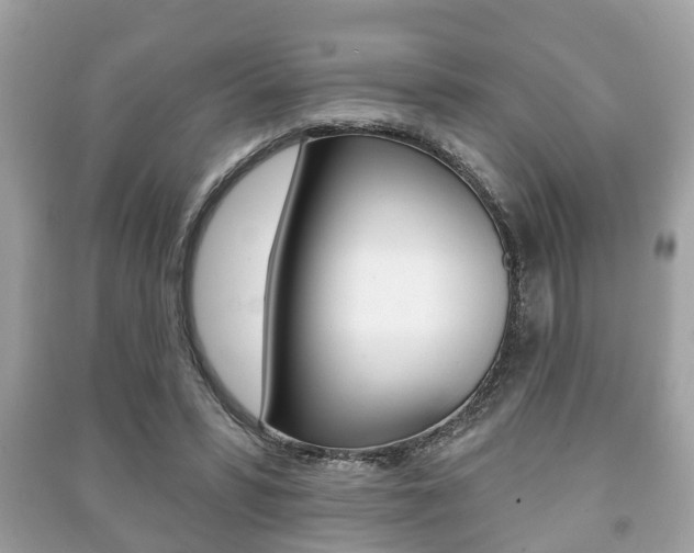 X0000091210399200708091120