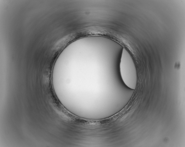 X0000091210402200708091120