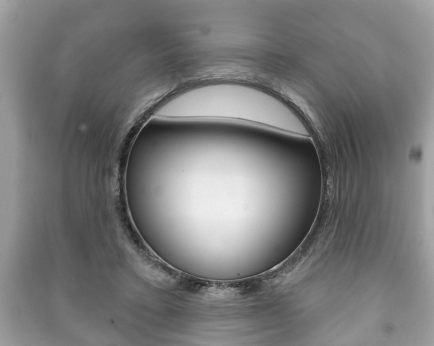 X0000091210403200708091120