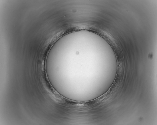 X0000091210406200708091120