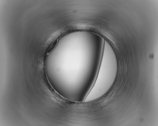 X0000091210407200708091120