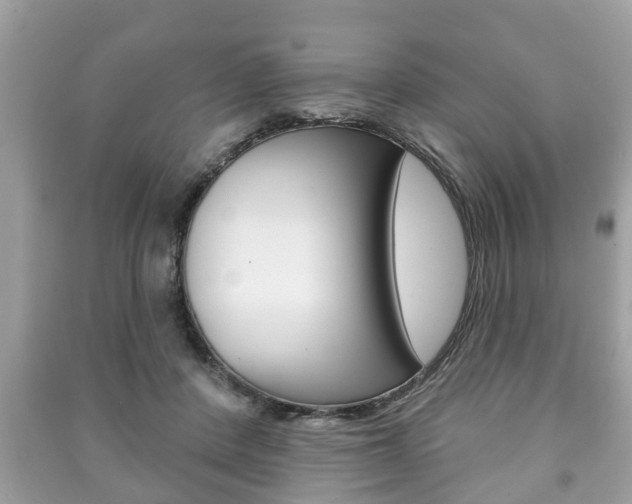 X0000091210408200708091120