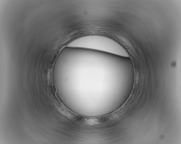 X0000091210409200708091120