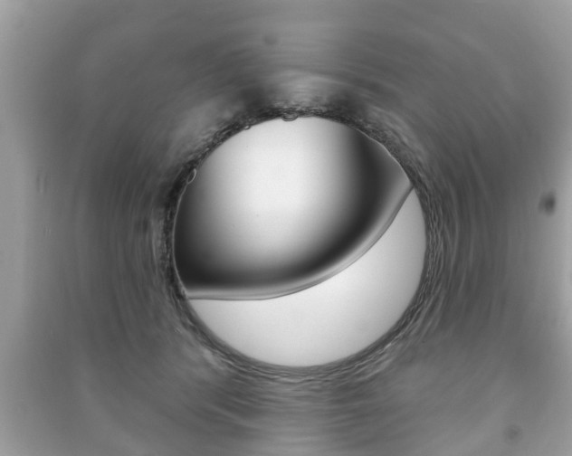 X0000091210416200708091120