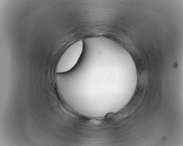 X0000091210418200708091120