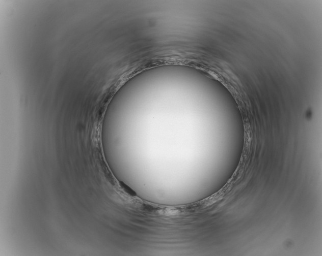 X0000091210419200708091120