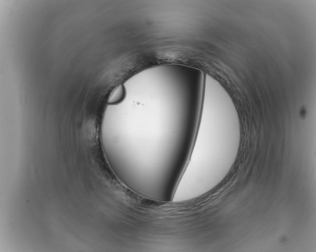 X0000091210420200708091120