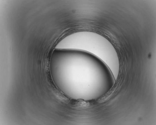 X0000091210421200708091120