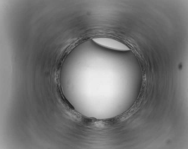 X0000091210423200708091120
