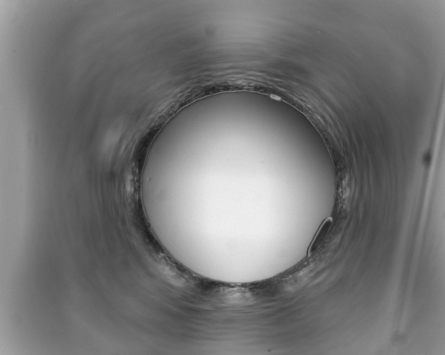 X0000091210424200708091119