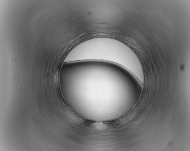 X0000091210425200708091119