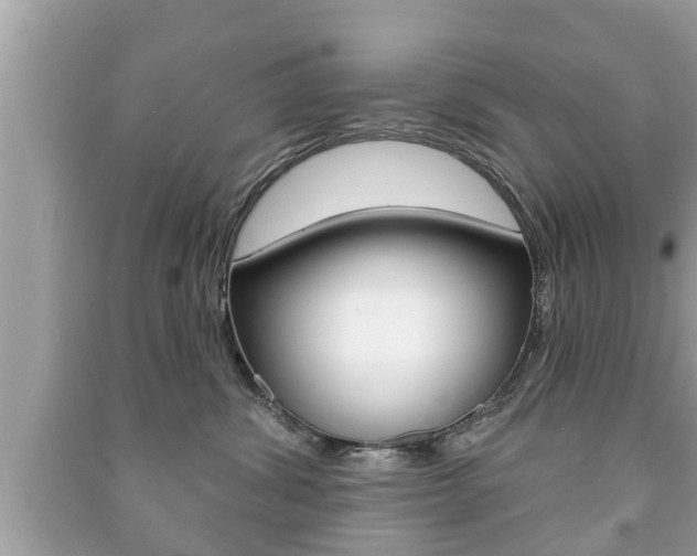 X0000091210428200708091119