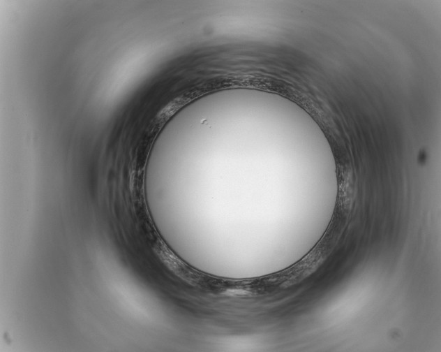 X0000091210430200708091119