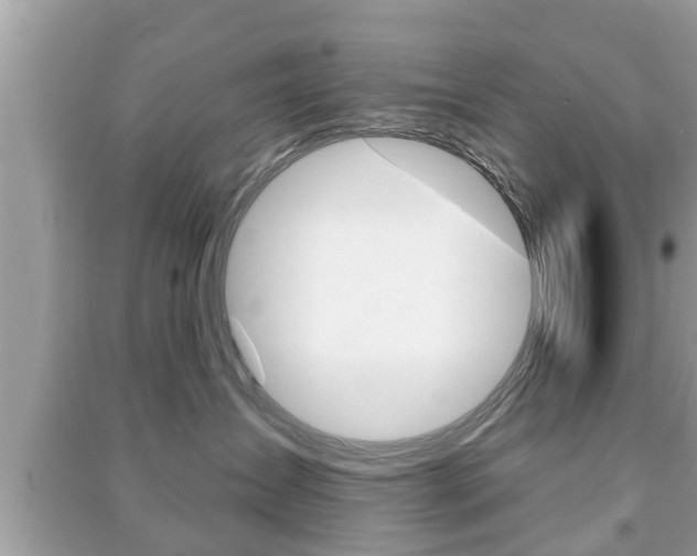 X0000091210431200708091119