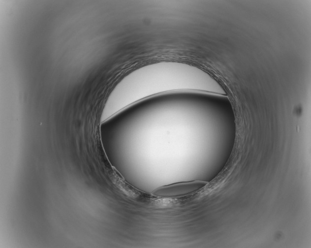 X0000091210432200708091119