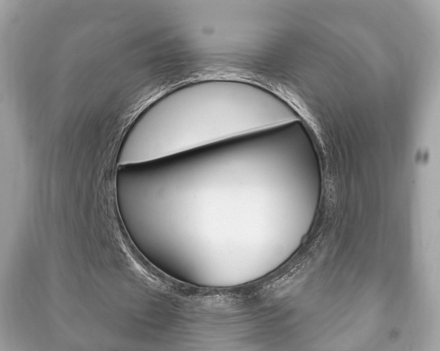 X0000091210433200708091119