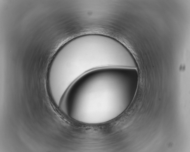 X0000091210434200708091119