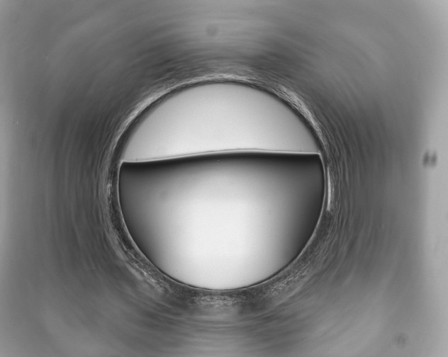 X0000091210435200708091119
