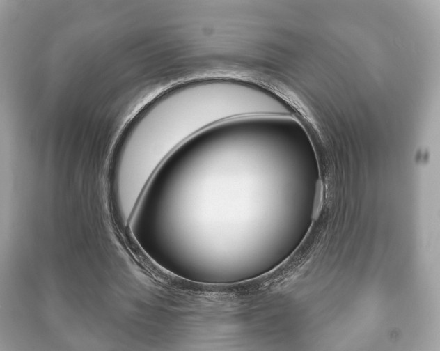 X0000091210436200708091119