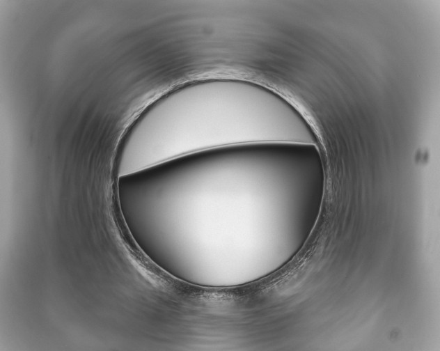 X0000091210437200708091119