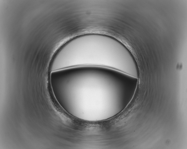 X0000091210438200708091119