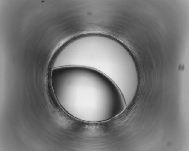 X0000091210440200708091119