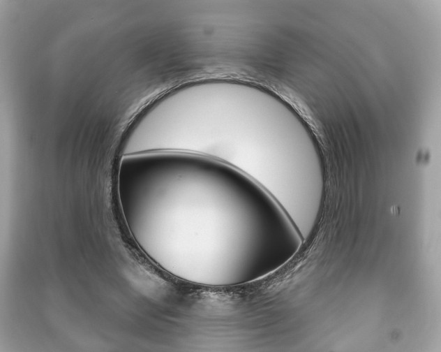 X0000091210442200708091119