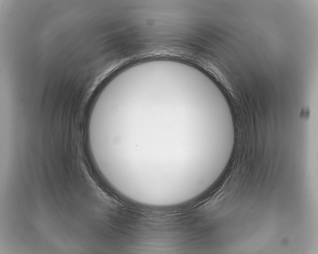X0000091210444200708091119