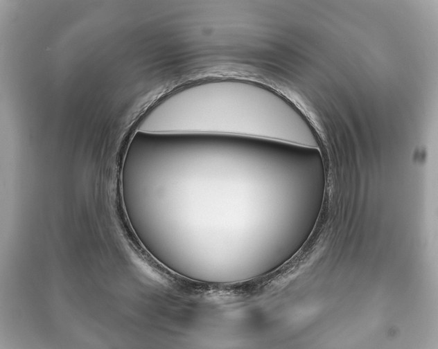 X0000091210445200708091119