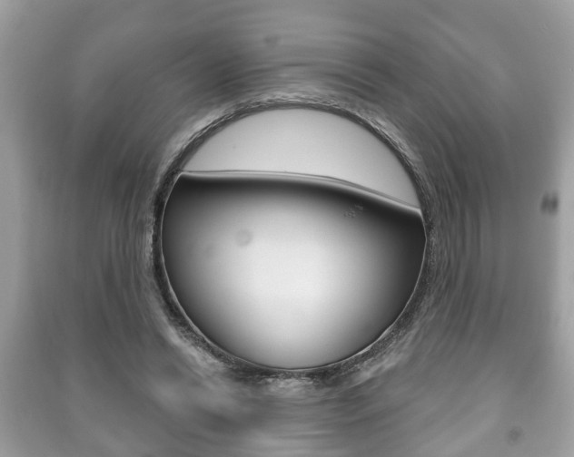 X0000091210446200708091119