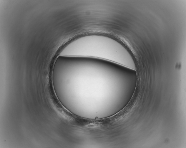 X0000091210447200708091119