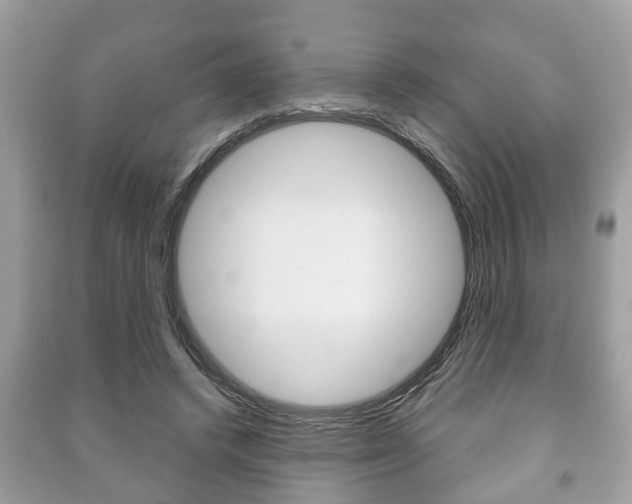 X0000091210448200708091119