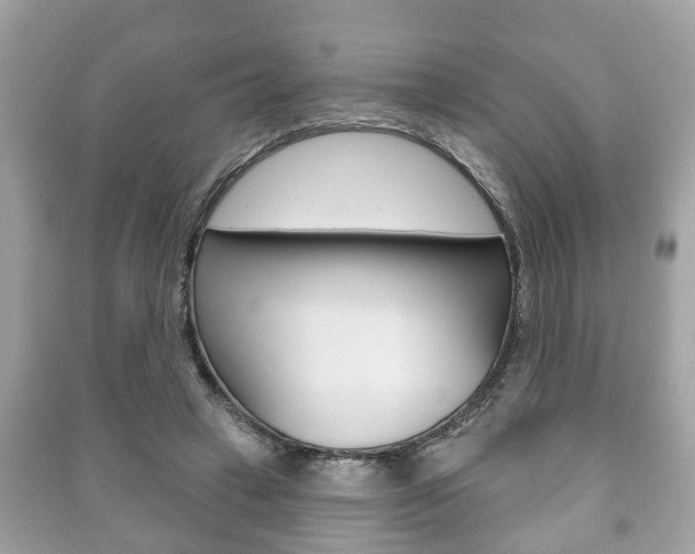 X0000091210449200708091119