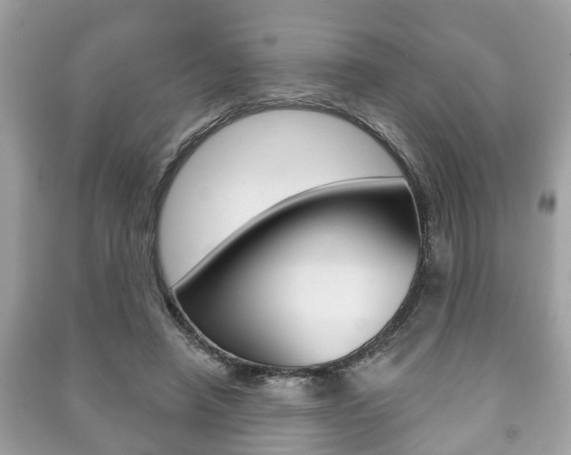 X0000091210450200708091119