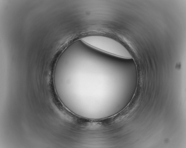 X0000091210451200708091119