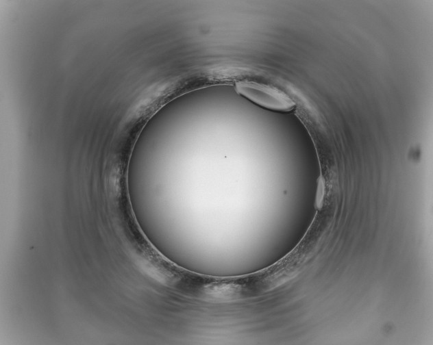 X0000091210452200708091119