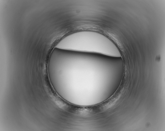 X0000091210453200708091119