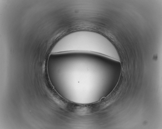 X0000091210454200708091119