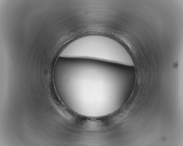 X0000091210455200708091119