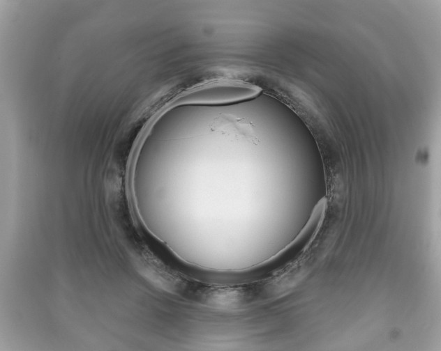 X0000091210456200708091119