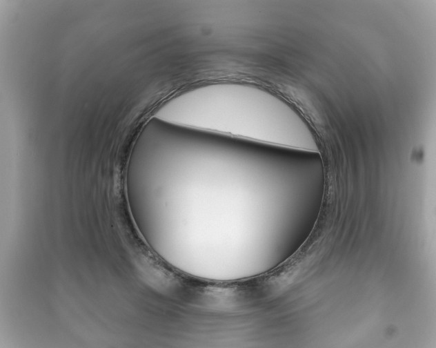 X0000091210457200708091119