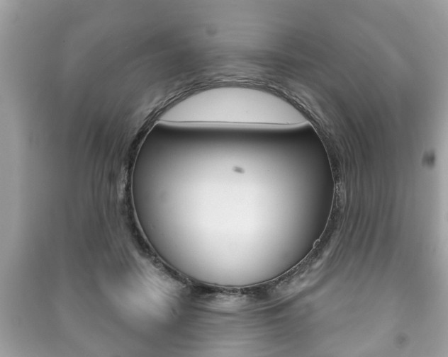 X0000091210458200708091119