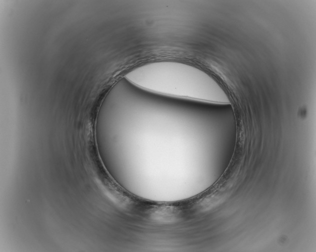 X0000091210459200708091119
